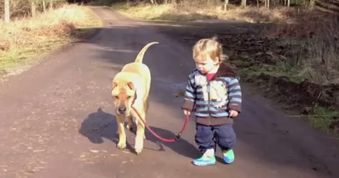 Øyeblikkets mest ømme video: en gutt, hunden hans og en sølepytt