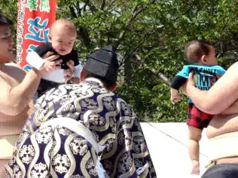 Naki Sumo, „състезанието“ на бебета, които плачат