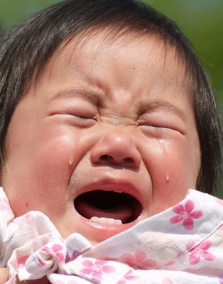 Naki Sumo การประกวดสำหรับเด็กทารกที่ร้องไห้
