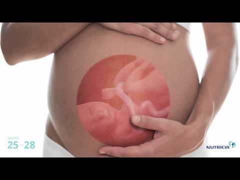 Hoe is een zwangerschap van sextillos via National Geographic