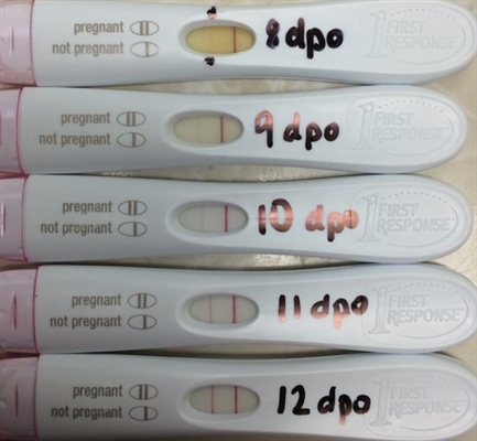 Womb Tube: deel het resultaat van de zwangerschapstest op video