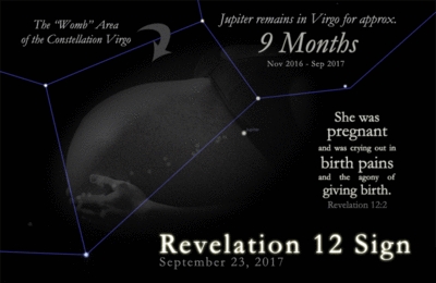 Genesis, en kort film om dannelsen af ​​babyen