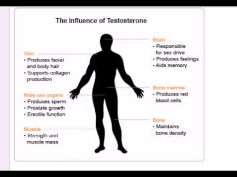 La diminution de la testostérone chez les parents. Vidéo