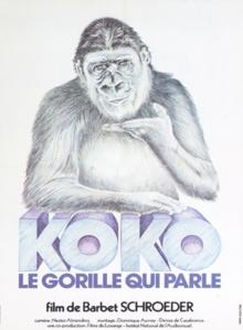 Koko, o gorila falante