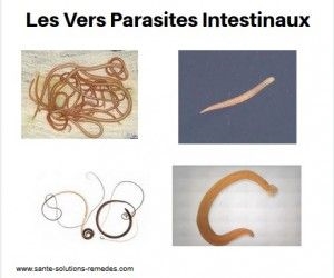 Parasites intestinaux chez les enfants