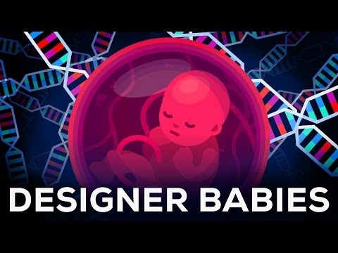 Vinge 3D-animatsioon: rasedus nelja minuti jooksul