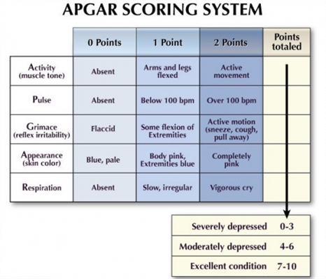 Apgar test of the newborn: what it is, when it is done and what it is for