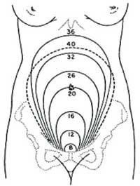 Πώς φαίνονται δύο δίδυμα στην κοιλιά και πώς γεννιούνται τα μωρά σε μια μαγνητική τομογραφία